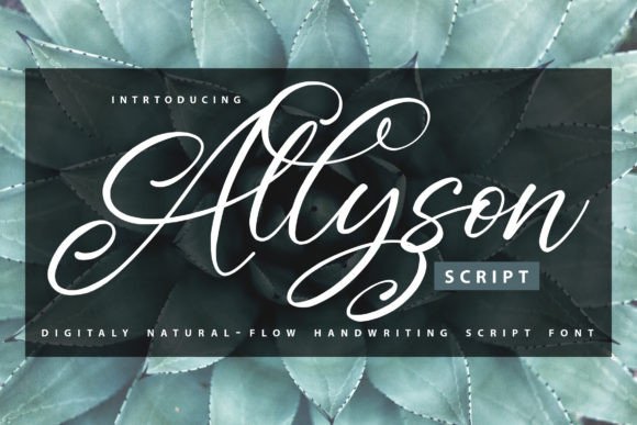 Allyson: A Dazzling Script Font for Modern Creators