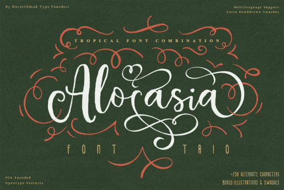 Alocasia: The Trio Font for Distinctive Branding