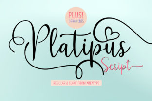 Platipus: The Playful Script Font for Elegant Designs
