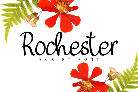 Rochester: A Simple and Delicate Script Font for Timeless Designs